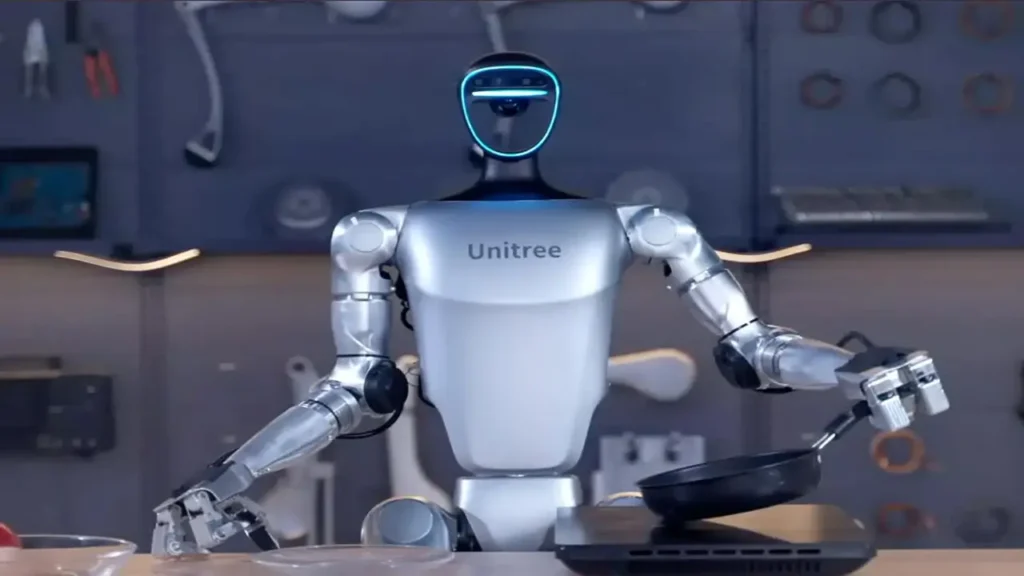 home humanoid robots